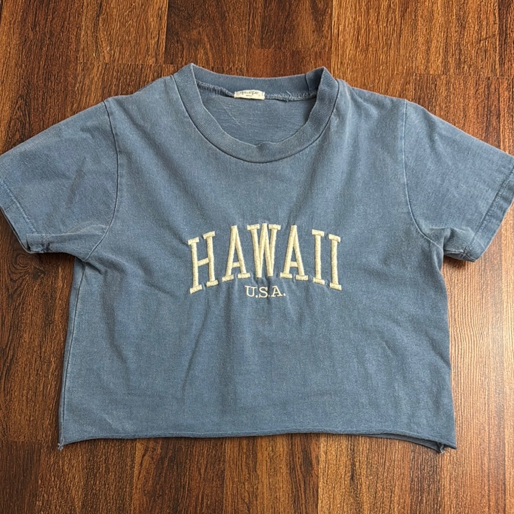 Blue Hawaii Brandy Melville Top